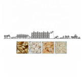 Fried corn puff 2D 3D papad making machine with high quality 