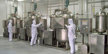 Batch type vacuum deep fryer for fruit chips